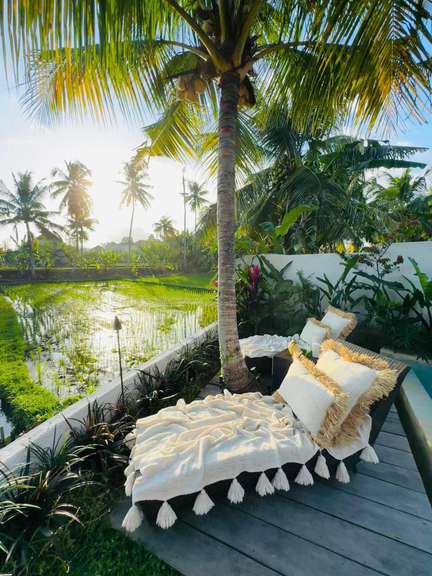 Villa Amara De'Vue Rice-Field Panoramic View W Pool Ig Ubud Zewnętrze zdjęcie